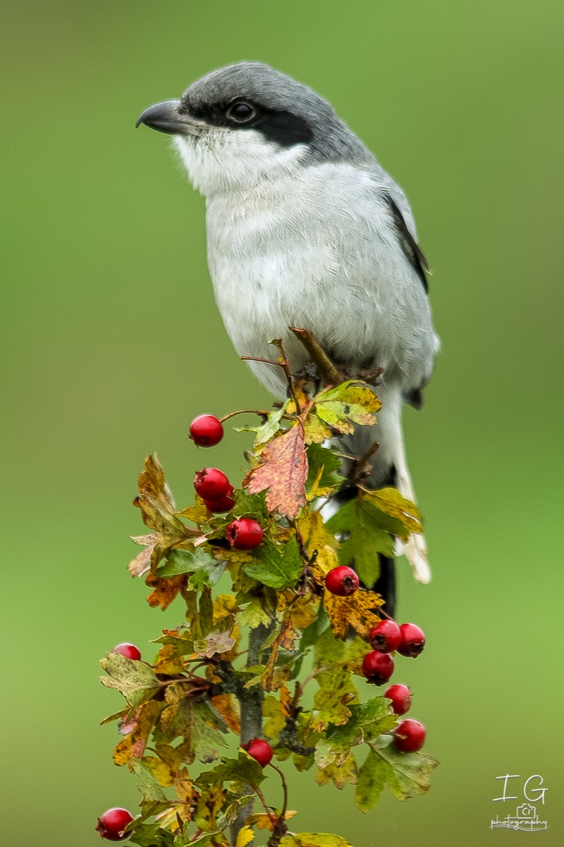 20211023 AK6I0393 insta